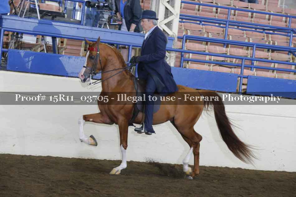 Proof 15R11_03705