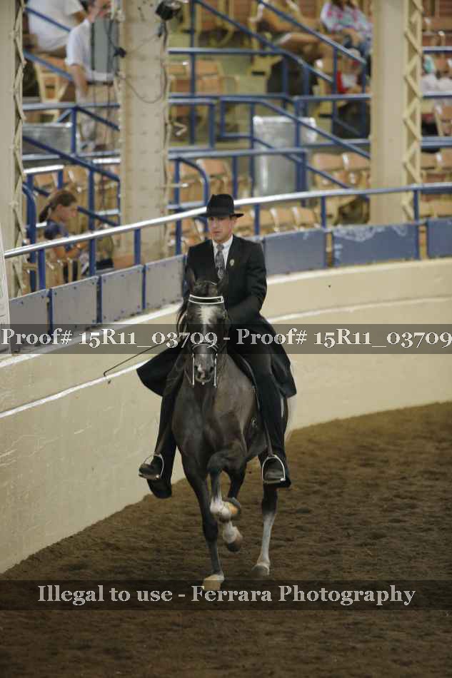 Proof 15R11_03709