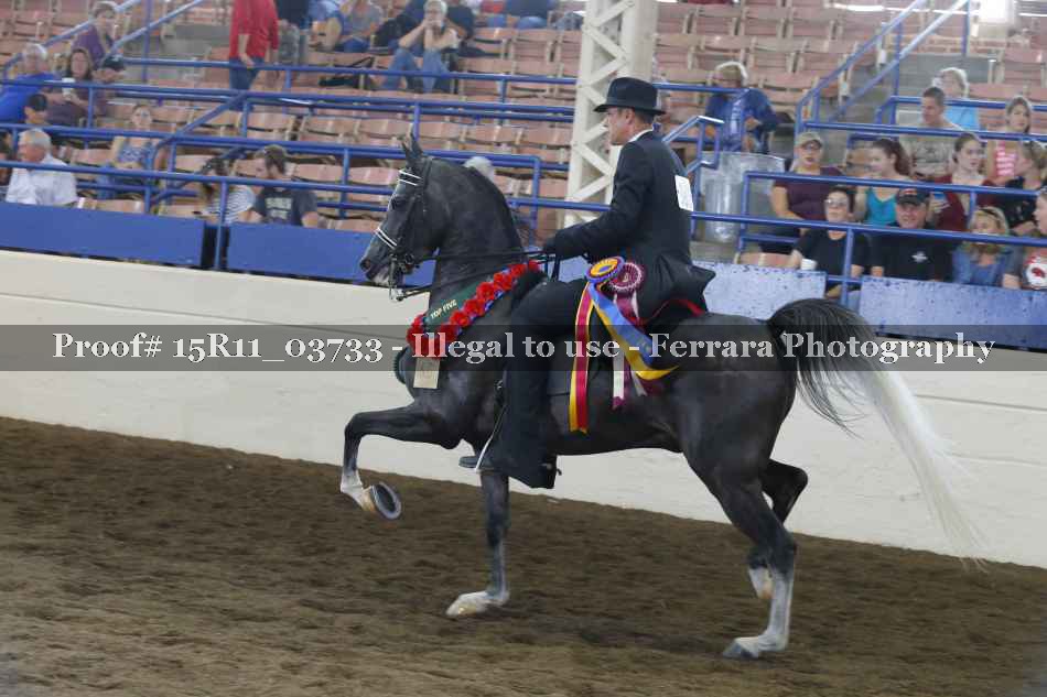 Proof 15R11_03733