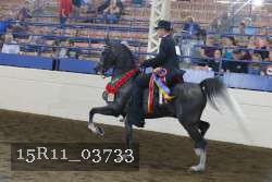 15R11_03733 proof
