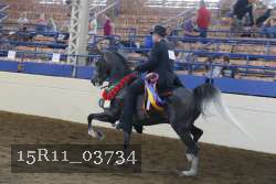 15R11_03734 proof