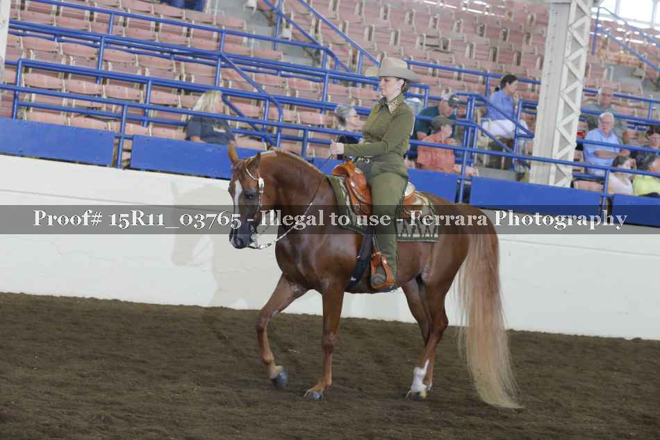 Proof 15R11_03765