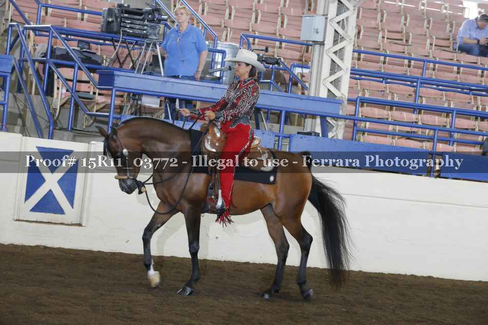 Proof 15R11_03772