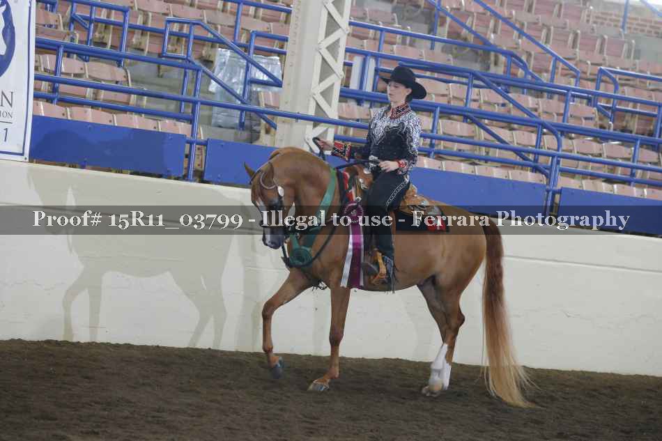 Proof 15R11_03799