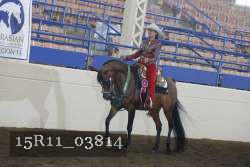 15R11_03814 proof
