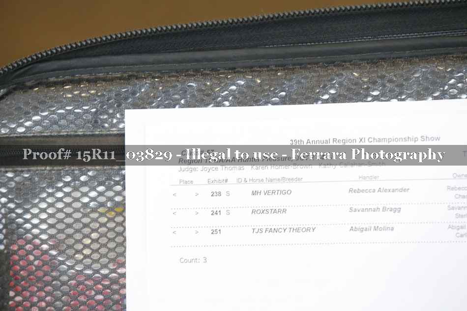 Proof 15R11_03829