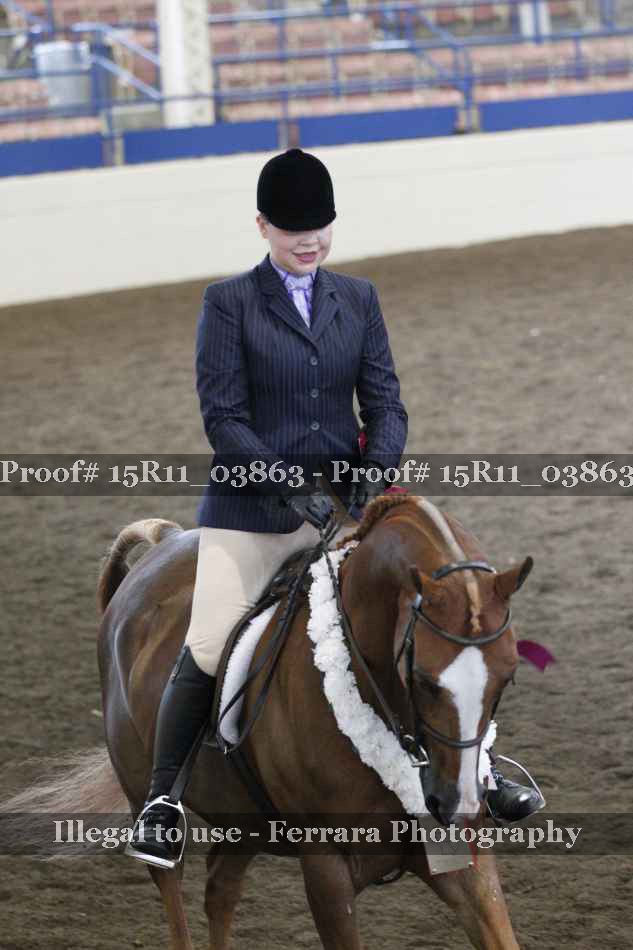 Proof 15R11_03863
