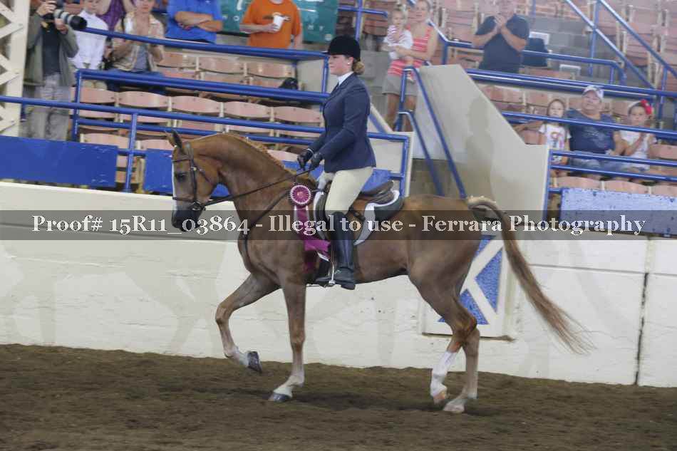Proof 15R11_03864