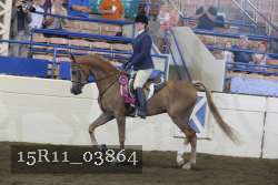 15R11_03864 proof