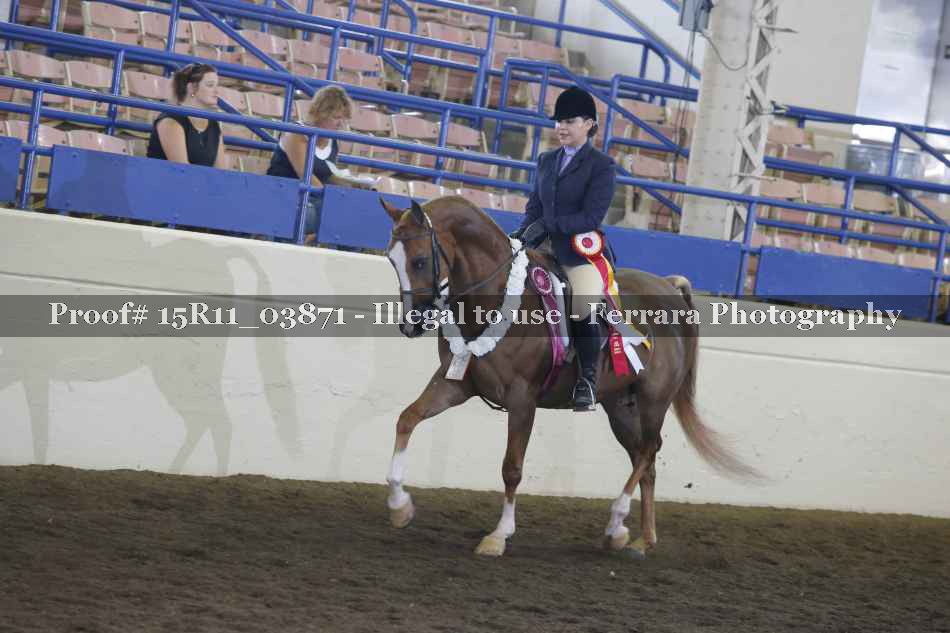 Proof 15R11_03871