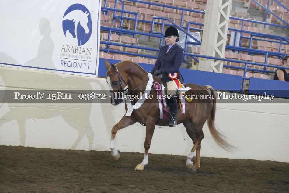 Proof 15R11_03872