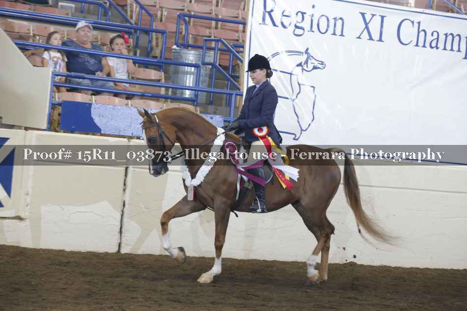 Proof 15R11_03873