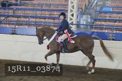 15R11_03874 proof