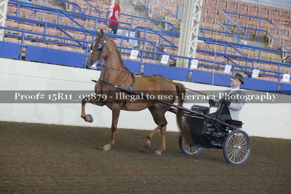 Proof 15R11_03879