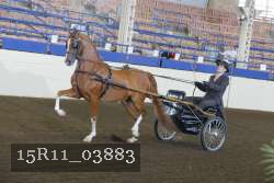15R11_03883 proof