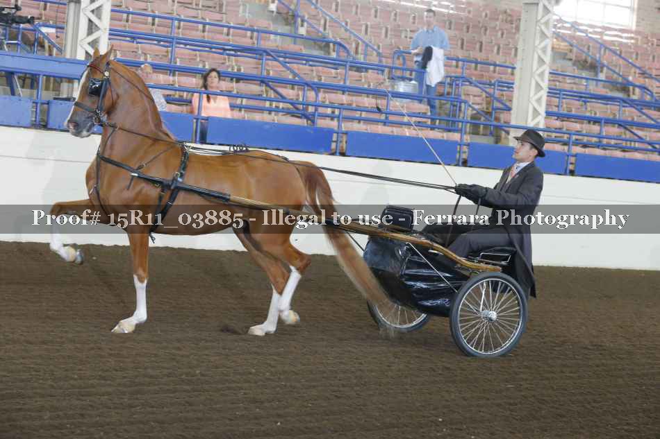 Proof 15R11_03885