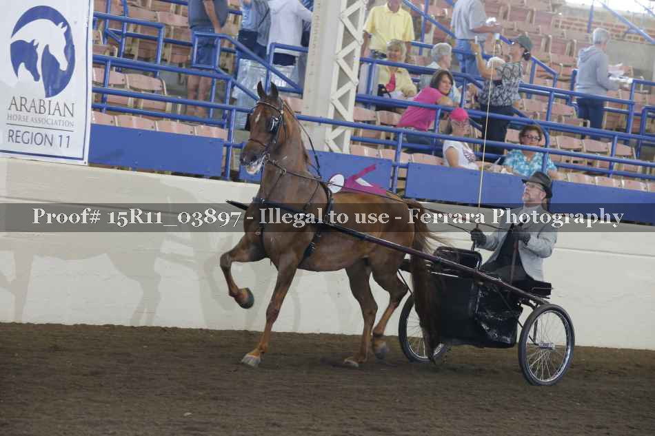 Proof 15R11_03897