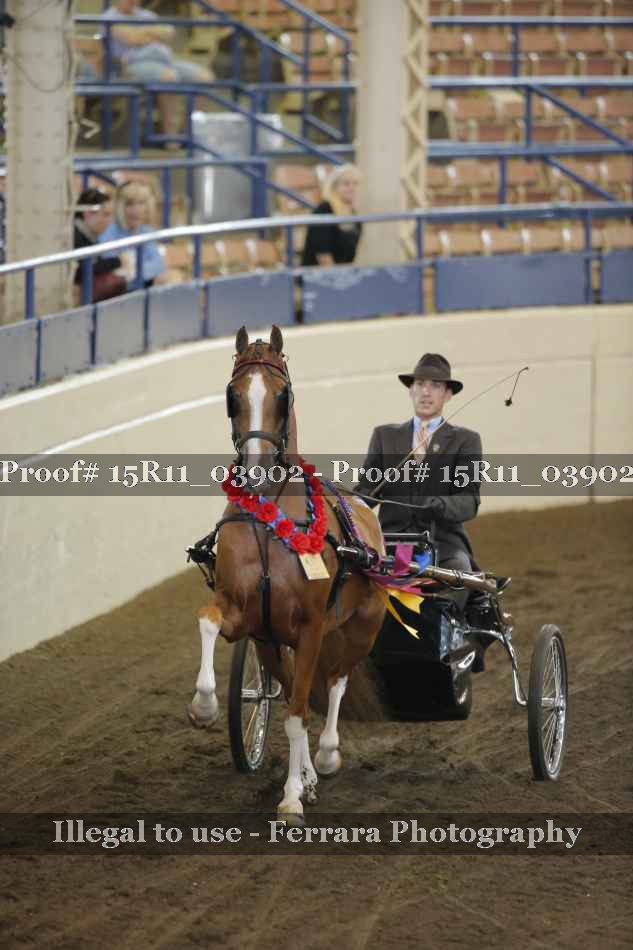 Proof 15R11_03902