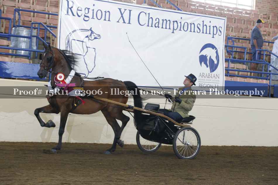 Proof 15R11_03906