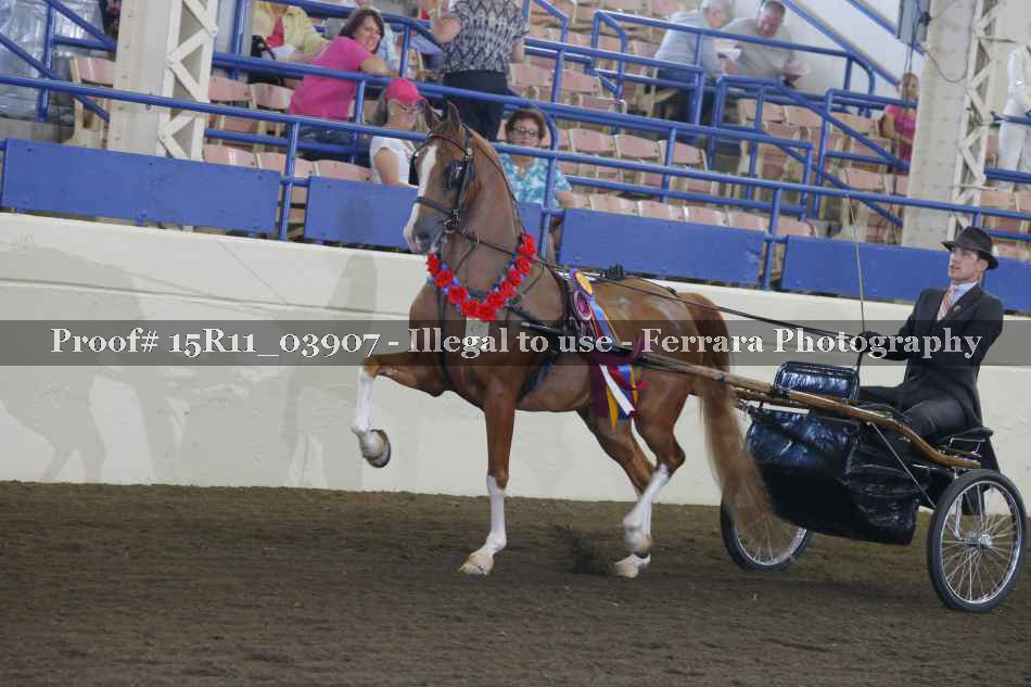 Proof 15R11_03907