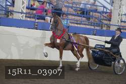 15R11_03907 proof