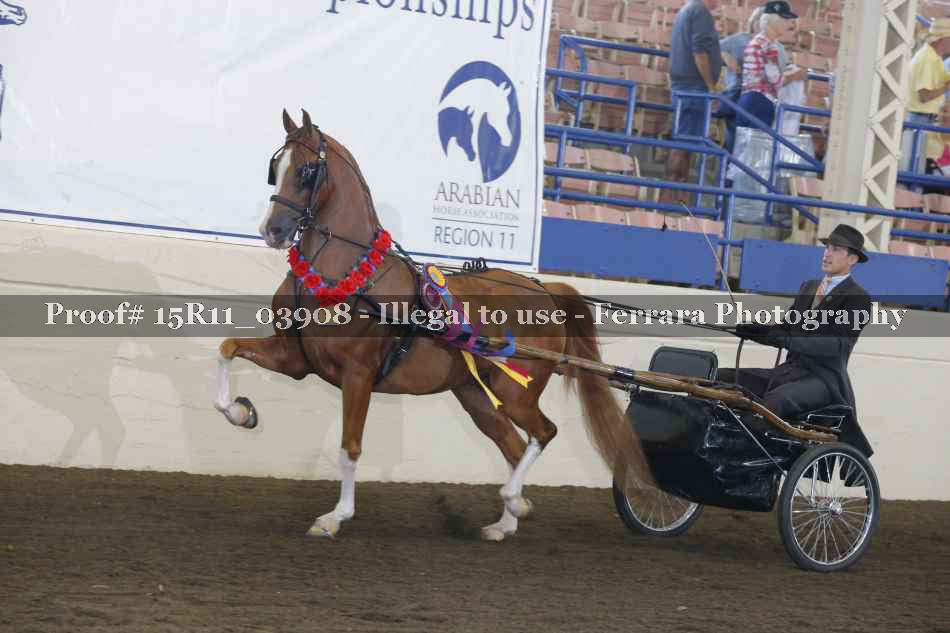 Proof 15R11_03908