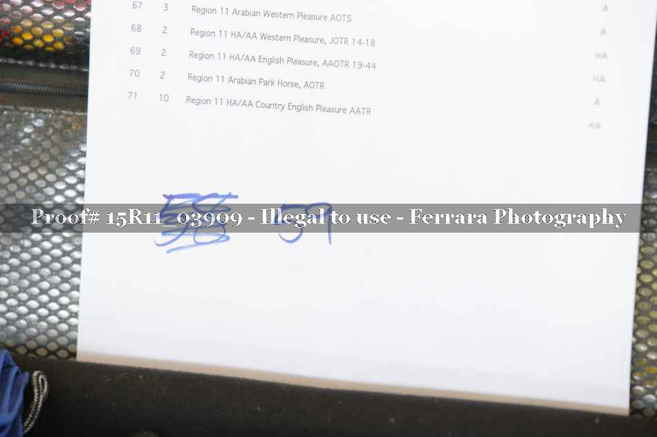 Proof 15R11_03909