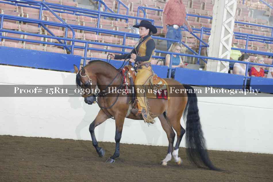 Proof 15R11_03910