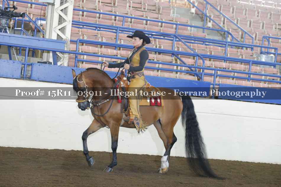Proof 15R11_03911