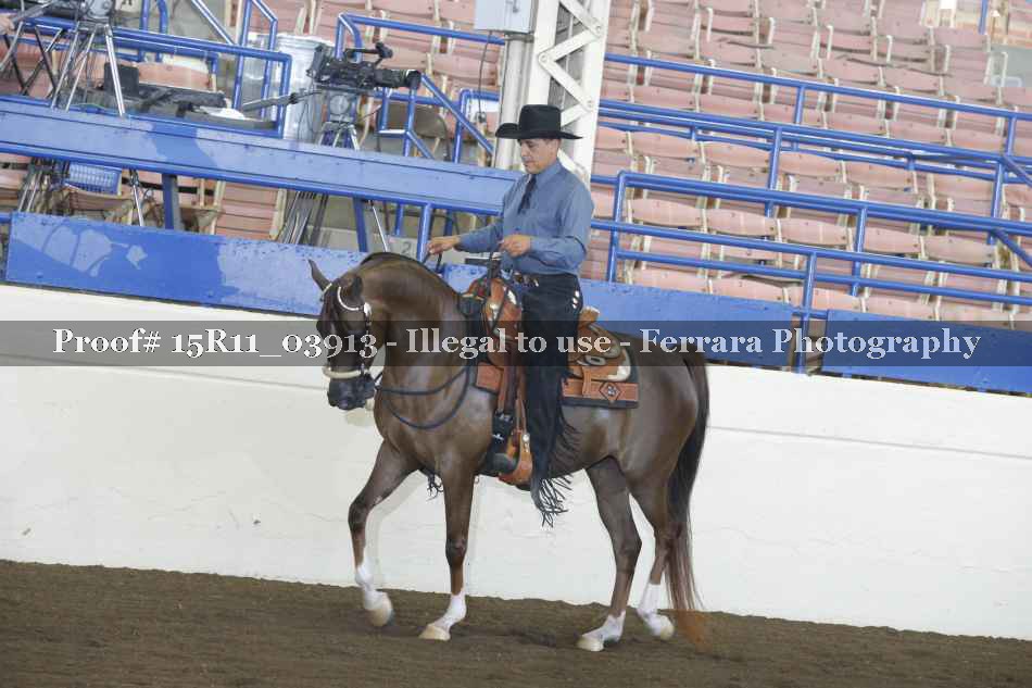 Proof 15R11_03913