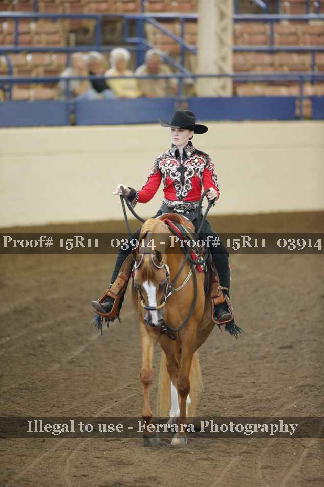 Proof 15R11_03914