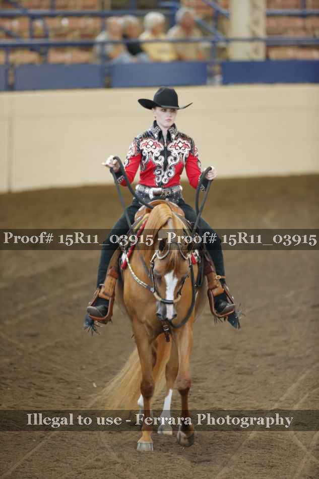 Proof 15R11_03915