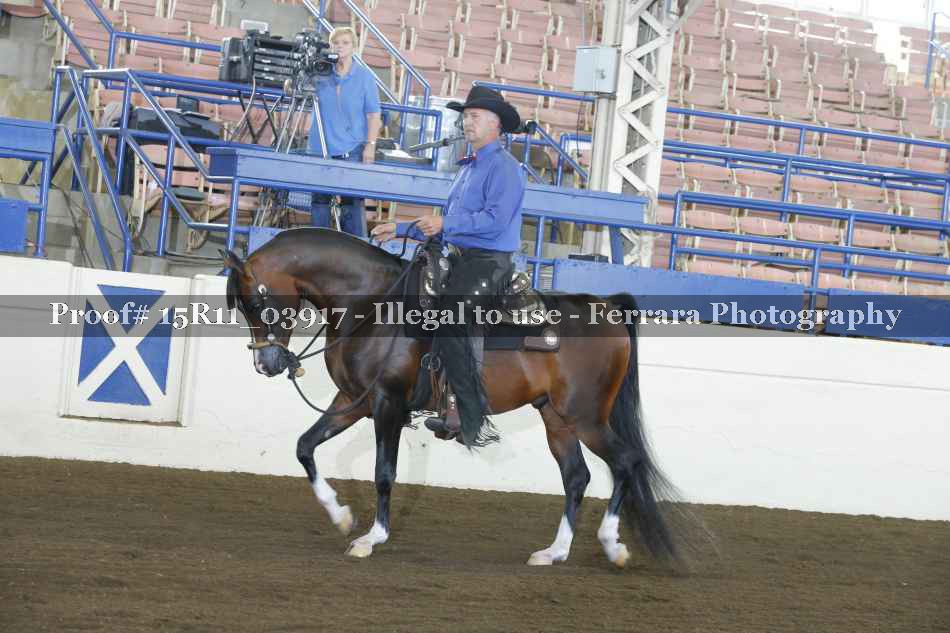 Proof 15R11_03917