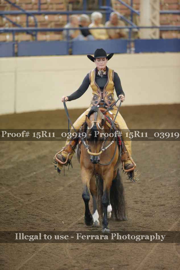 Proof 15R11_03919