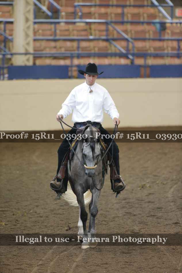 Proof 15R11_03930
