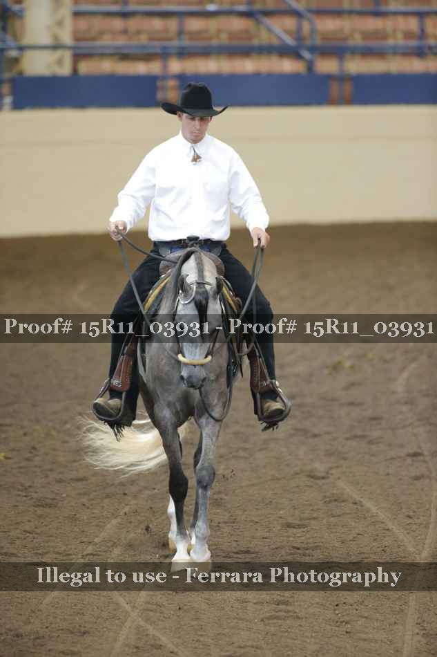 Proof 15R11_03931