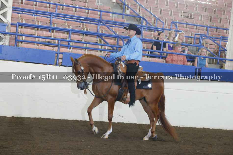 Proof 15R11_03932