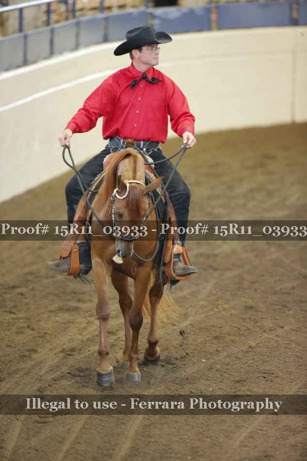 Proof 15R11_03933