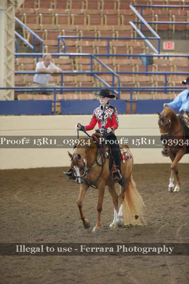 Proof 15R11_03934