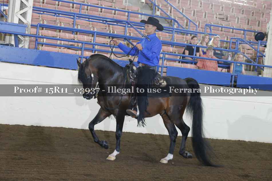 Proof 15R11_03937