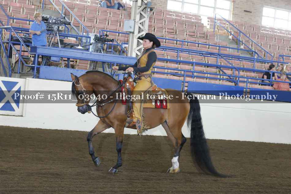 Proof 15R11_03940