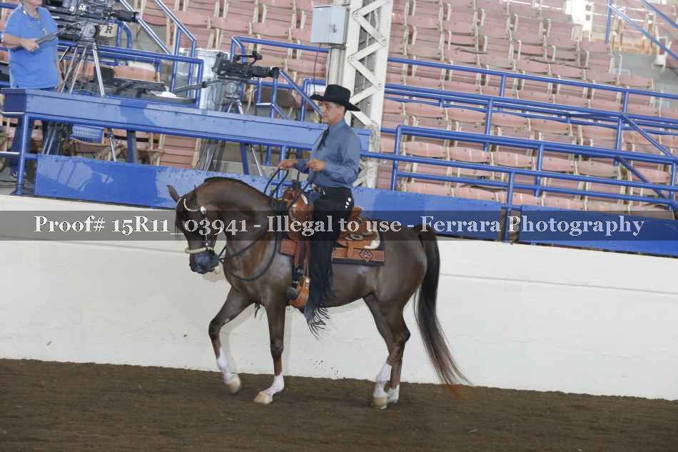 Proof 15R11_03941