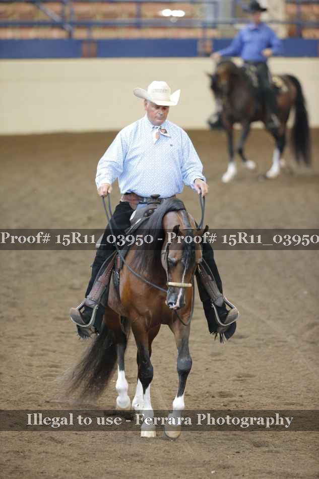 Proof 15R11_03950