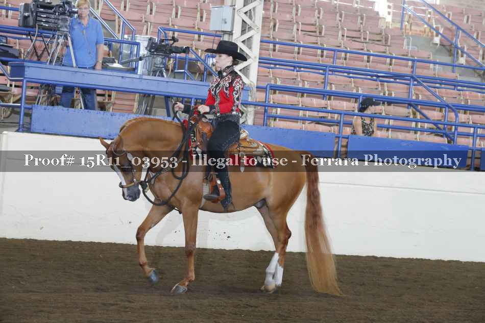 Proof 15R11_03953