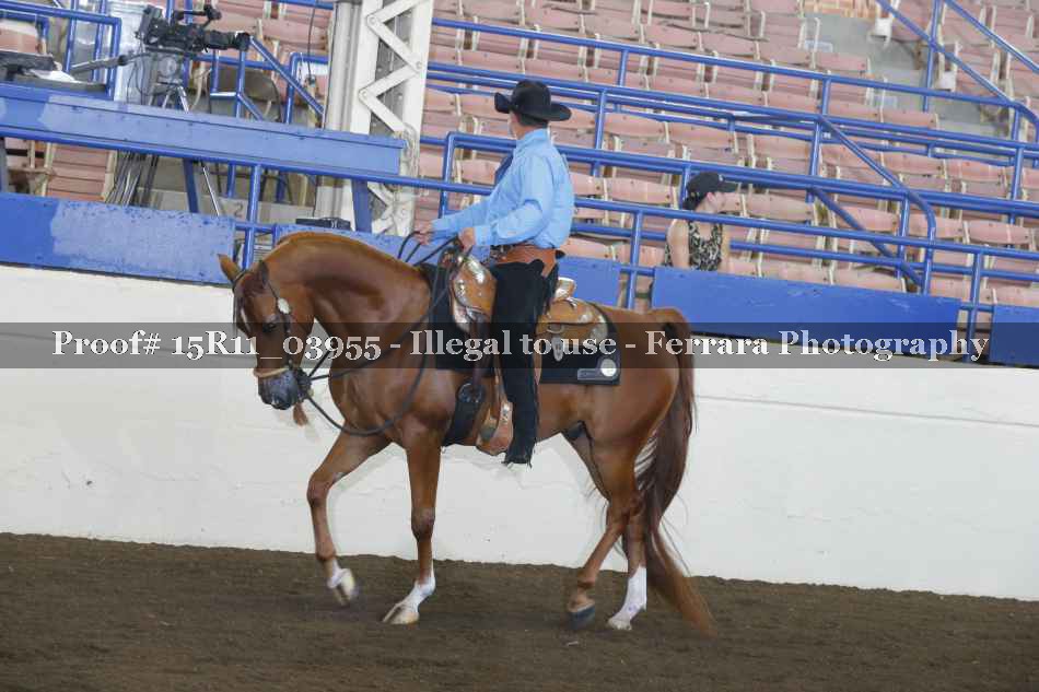 Proof 15R11_03955