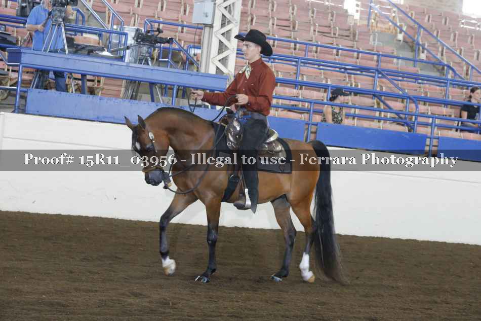 Proof 15R11_03956