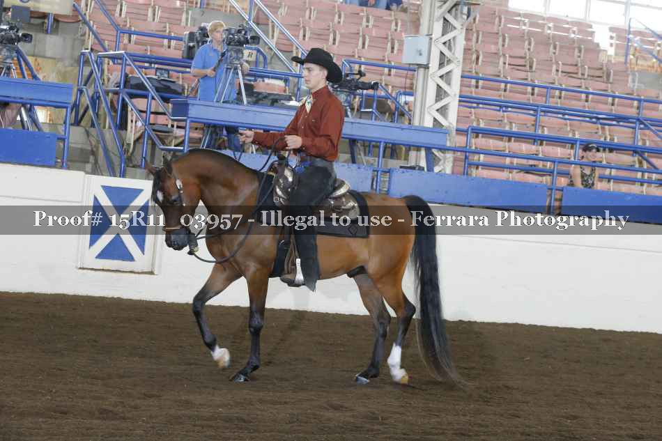Proof 15R11_03957