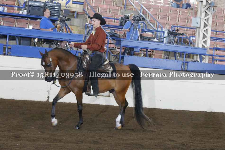 Proof 15R11_03958