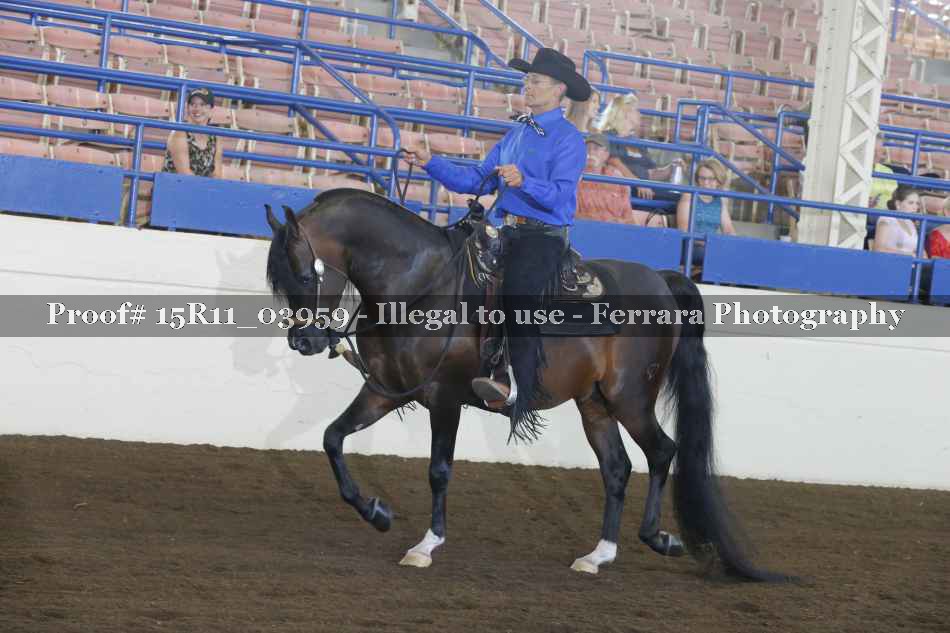 Proof 15R11_03959