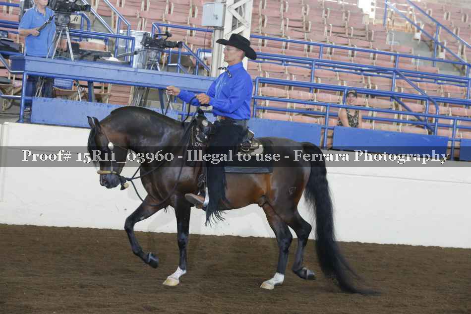 Proof 15R11_03960